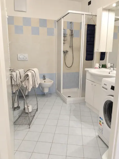 Il bagno con doccia e lavatrice